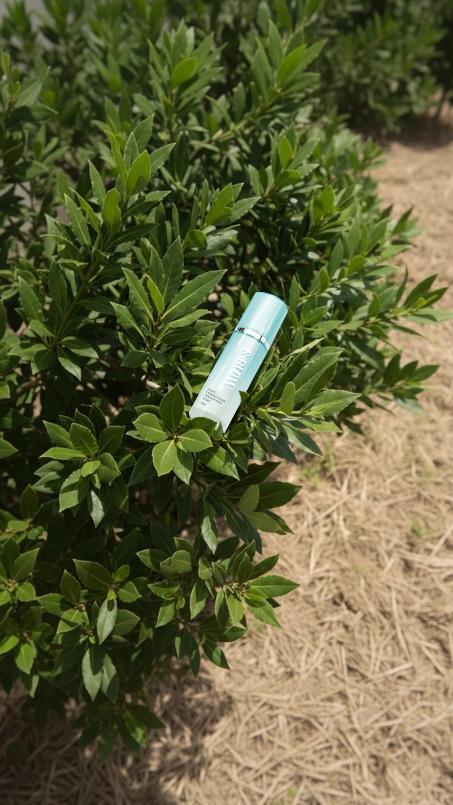 戶外植葉中的養髮液